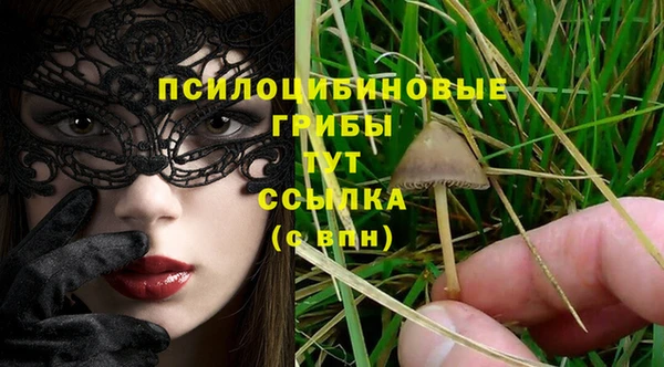 мдпв Беломорск