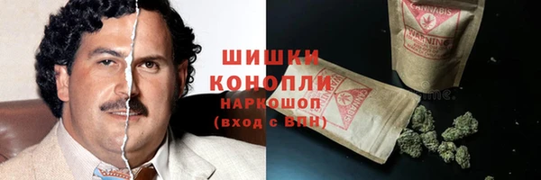 spice Белокуриха