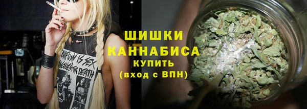 spice Белокуриха